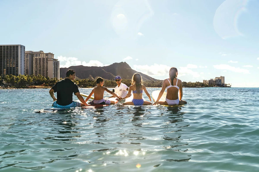Hawaii Island Explorer