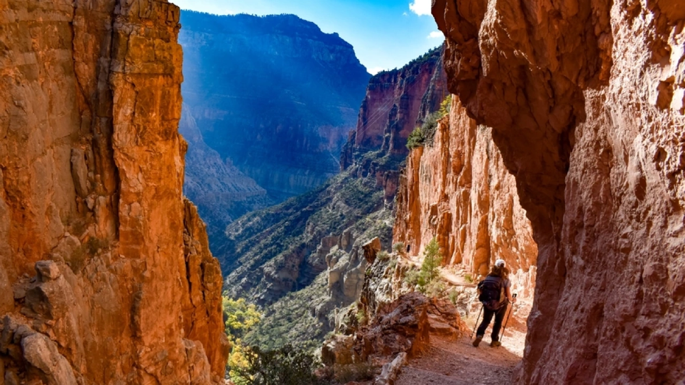 Las Vegas & Grand Canyon Special